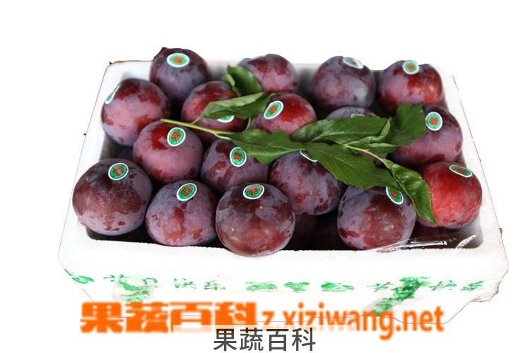 果蔬百科黑布林