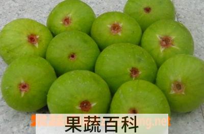 果蔬百科无花果