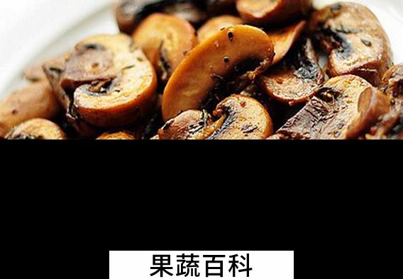果蔬百科黄油口蘑