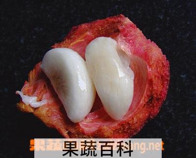 果蔬百科山竹皮