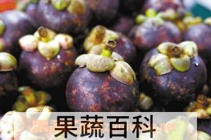 果蔬百科山竹