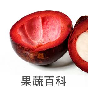 果蔬百科山竹皮