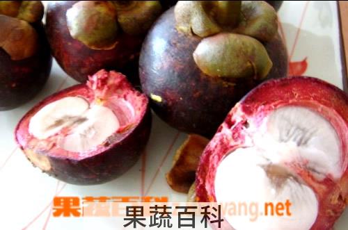 果蔬百科山竹