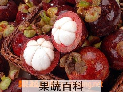 果蔬百科山竹