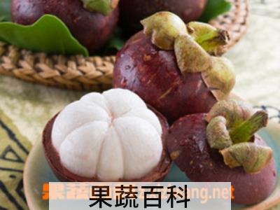 果蔬百科山竹