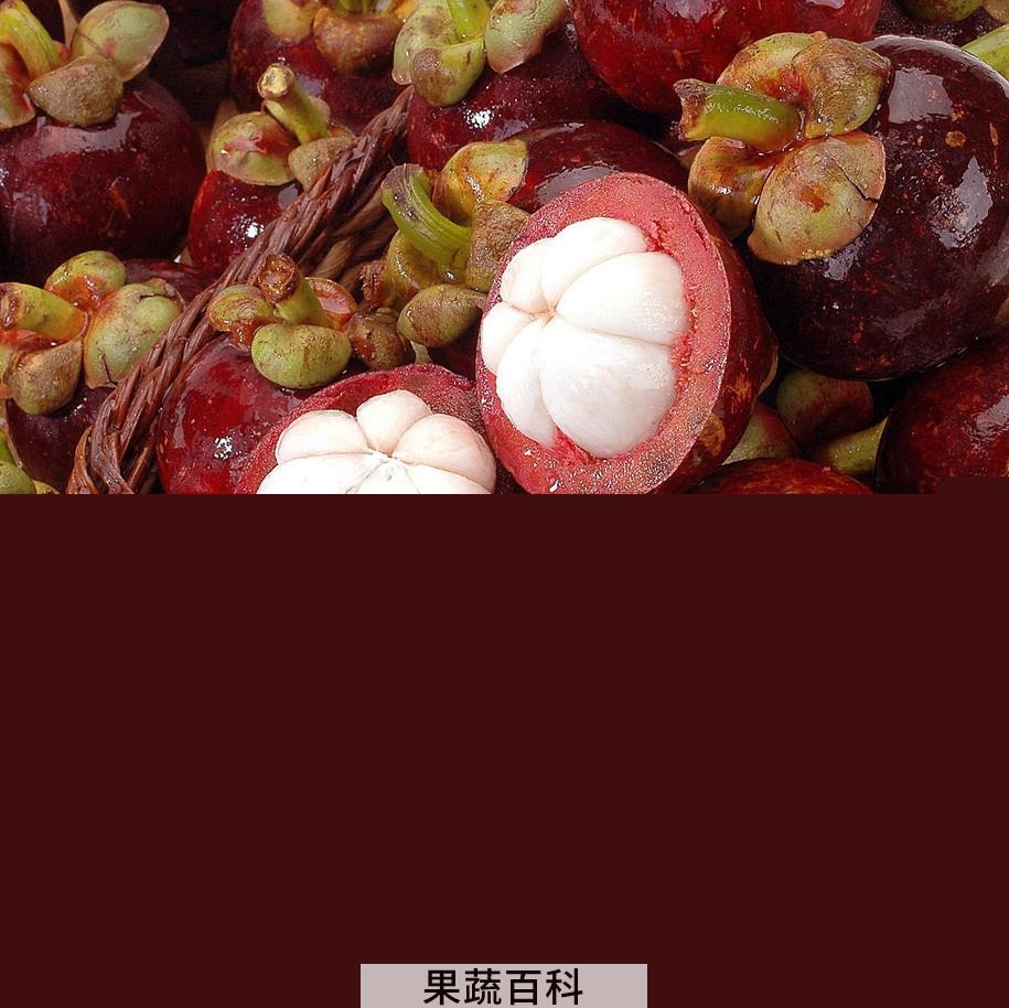 果蔬百科山竹