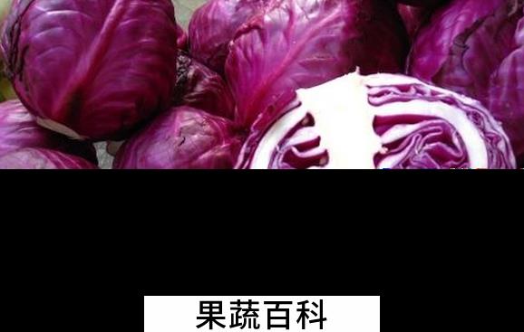 果蔬百科吃紫甘蓝的好处有哪些