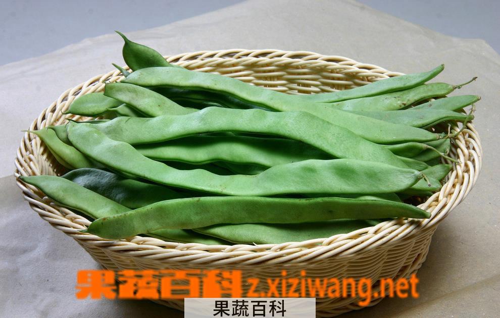 果蔬百科芸豆的做法大全 芸豆怎么做