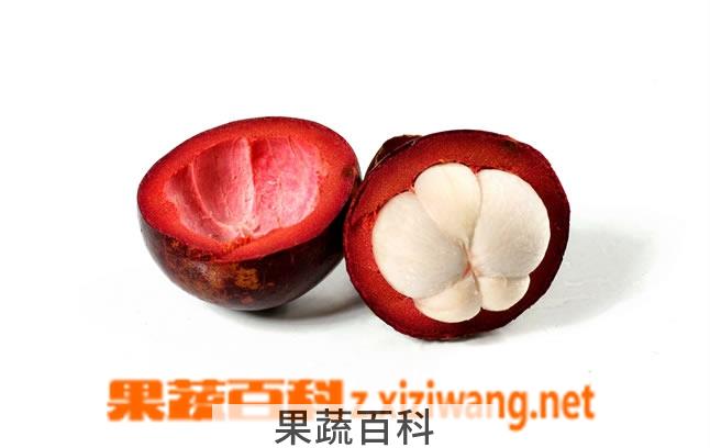 果蔬百科山竹
