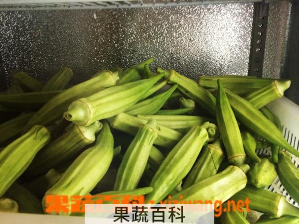 果蔬百科洋辣椒的功效和作用