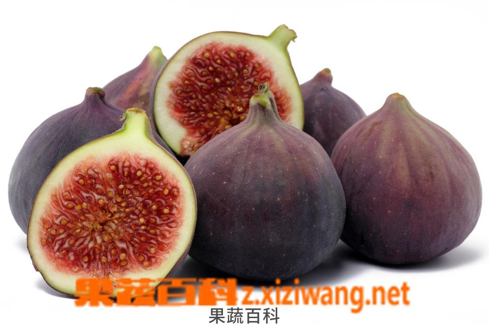 果蔬百科无花果