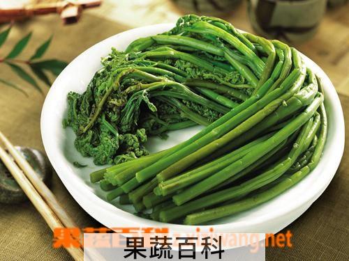 果蔬百科蕨菜的功效与作用