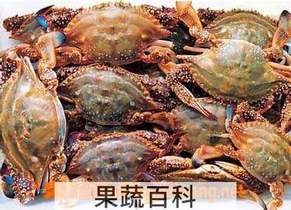 果蔬百科三疣梭子蟹做法介绍