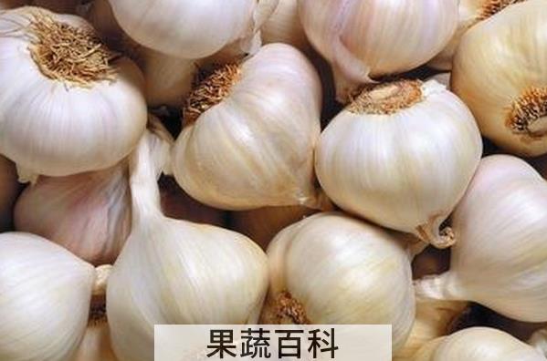 果蔬百科大蒜发芽以后能吃吗