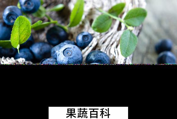 果蔬百科常见的紫色食品有哪些