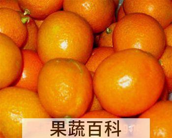 果蔬百科金桔的功效 化痰止渴消食醒酒