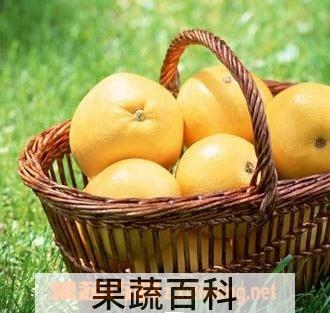 果蔬百科