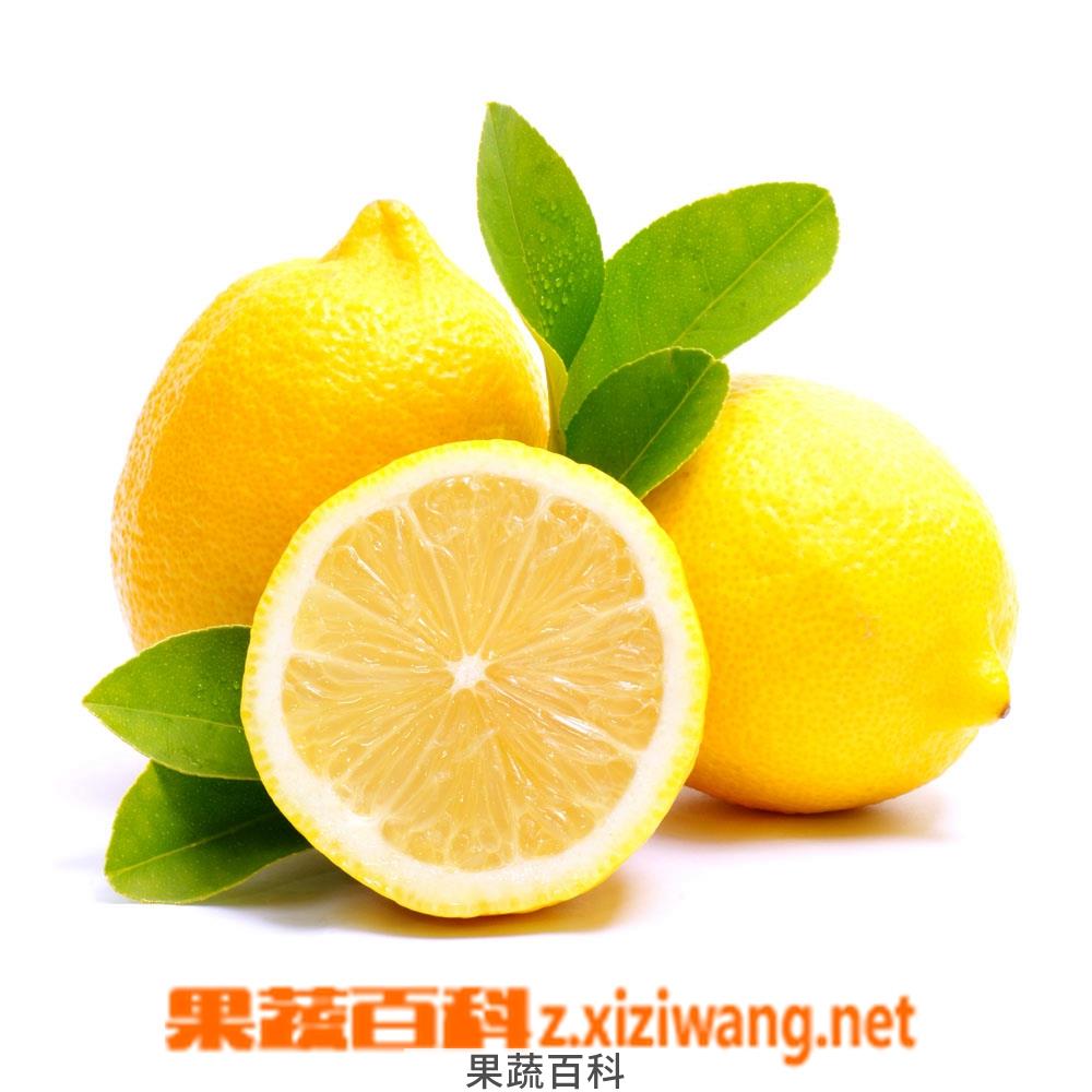 果蔬百科柠檬