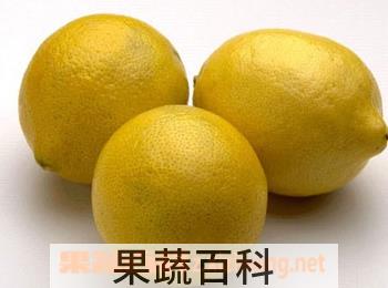 果蔬百科柠檬
