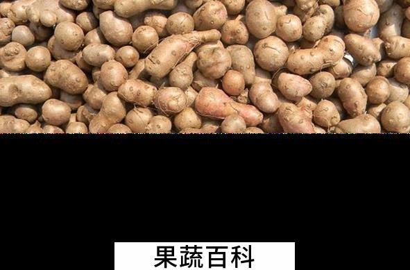 果蔬百科吃山药豆的好处有哪些