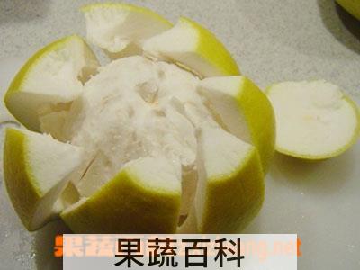 果蔬百科柚子皮