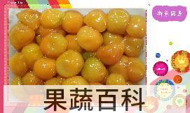 果蔬百科蜜汁金橘