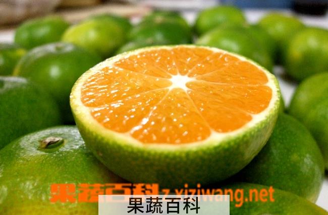 果蔬百科桔子