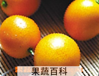 果蔬百科金橘