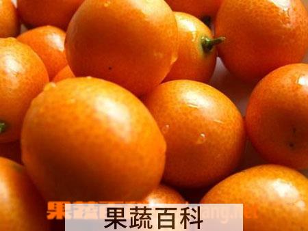 果蔬百科金橘