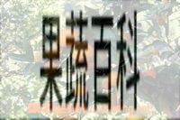 果蔬百科金桔