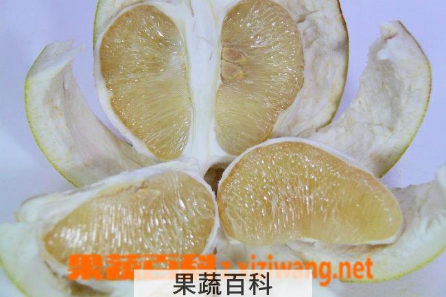果蔬百科柚子