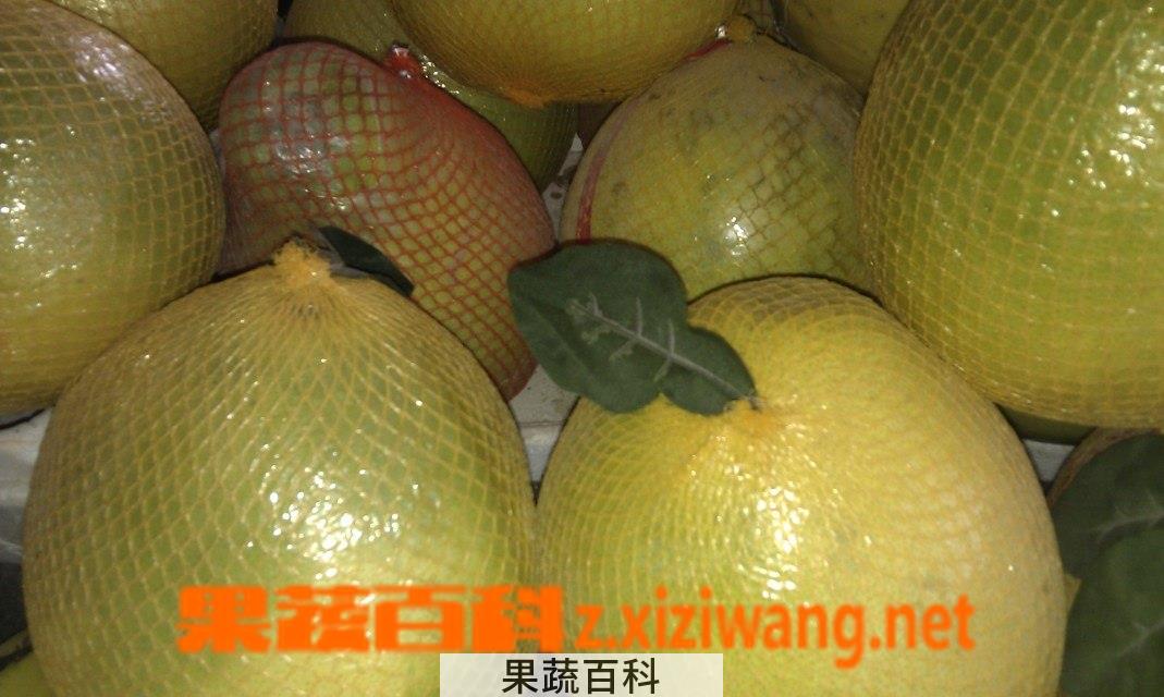 果蔬百科柚子