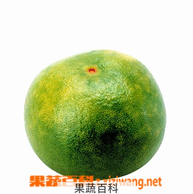 果蔬百科柚子