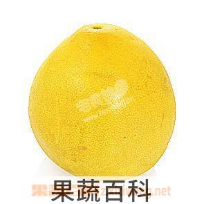 果蔬百科柚子