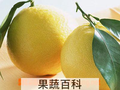 果蔬百科柚子