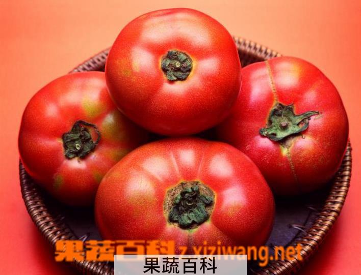 果蔬百科番茄红素的功效与作用