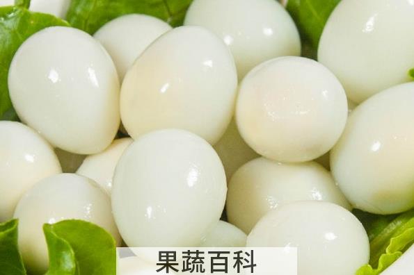 果蔬百科鹌鹑蛋的功效与作用