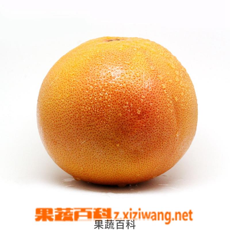 果蔬百科西柚