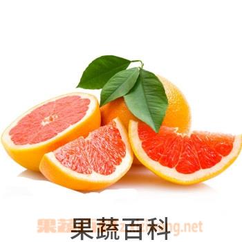 果蔬百科西柚