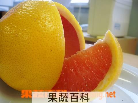 果蔬百科西柚