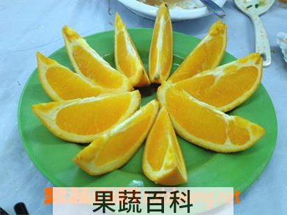 果蔬百科甜橙
