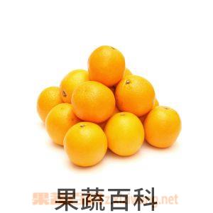 果蔬百科橘子
