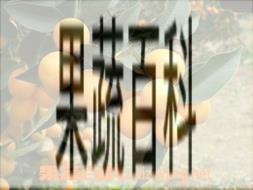 果蔬百科蜜桔