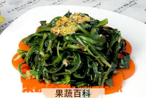 果蔬百科蒲公英的吃法大全