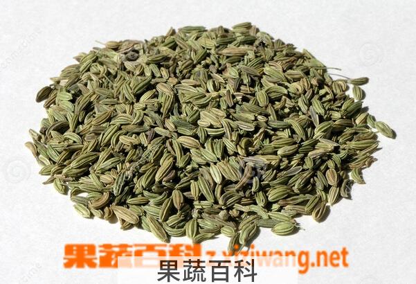 果蔬百科茴香籽的功效与作用