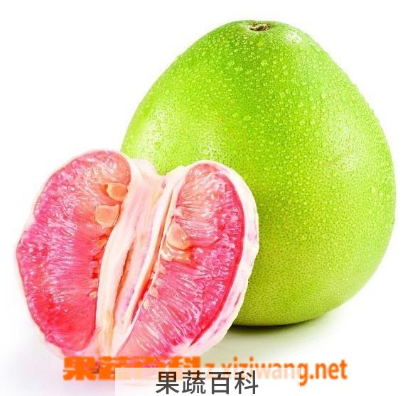 果蔬百科红心蜜柚