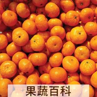 果蔬百科蜜橘