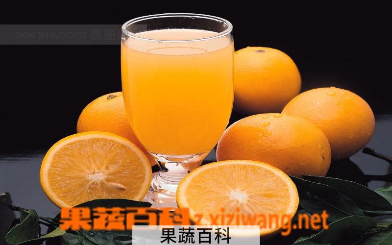 果蔬百科橙