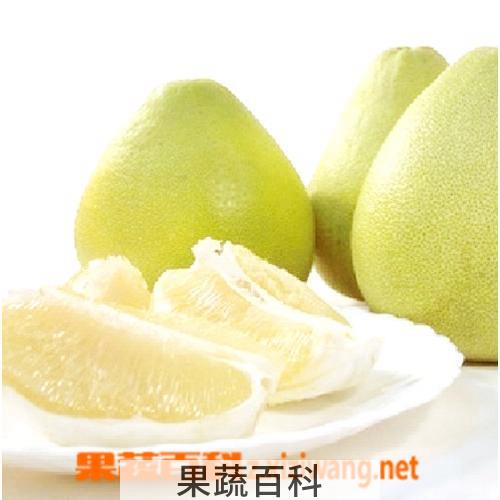 果蔬百科蜜柚