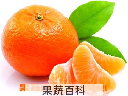 果蔬百科桔子